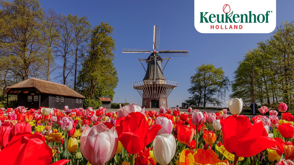 Bekijk nu de laatste video van Keukenhof Virtueel Open. Samen met u hebben wij dit jaar Keukenhof virtueel beleefd. Met alle medewerkers hebben we geprobeerd de Hollandse bloemenpracht bij u thuis te brengen. Bedankt voor alle leuke reacties!
youtube.com/watch?v=QSZyOu…