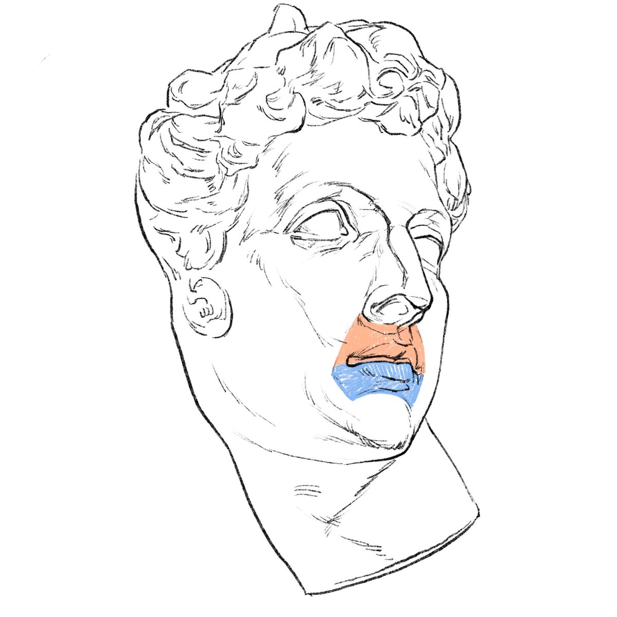 「唇の体表区分はイメージと異なる。鼻下、ほうれい線(鼻唇溝と頬唇溝)、顎と唇の間の」|伊豆の美術解剖学者のイラスト