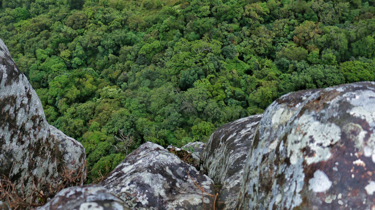 wadwathsala's tweet photo. Just looking down
.
.
.
#riverston #matale #miniworldsend #punchilokanthaya #pitawalapathana #slope #lka #srilanka #attractions #VisitSriLanka #travelphotography #traveldestination #travelsrilanka https://t.co/niMAIYkcm0