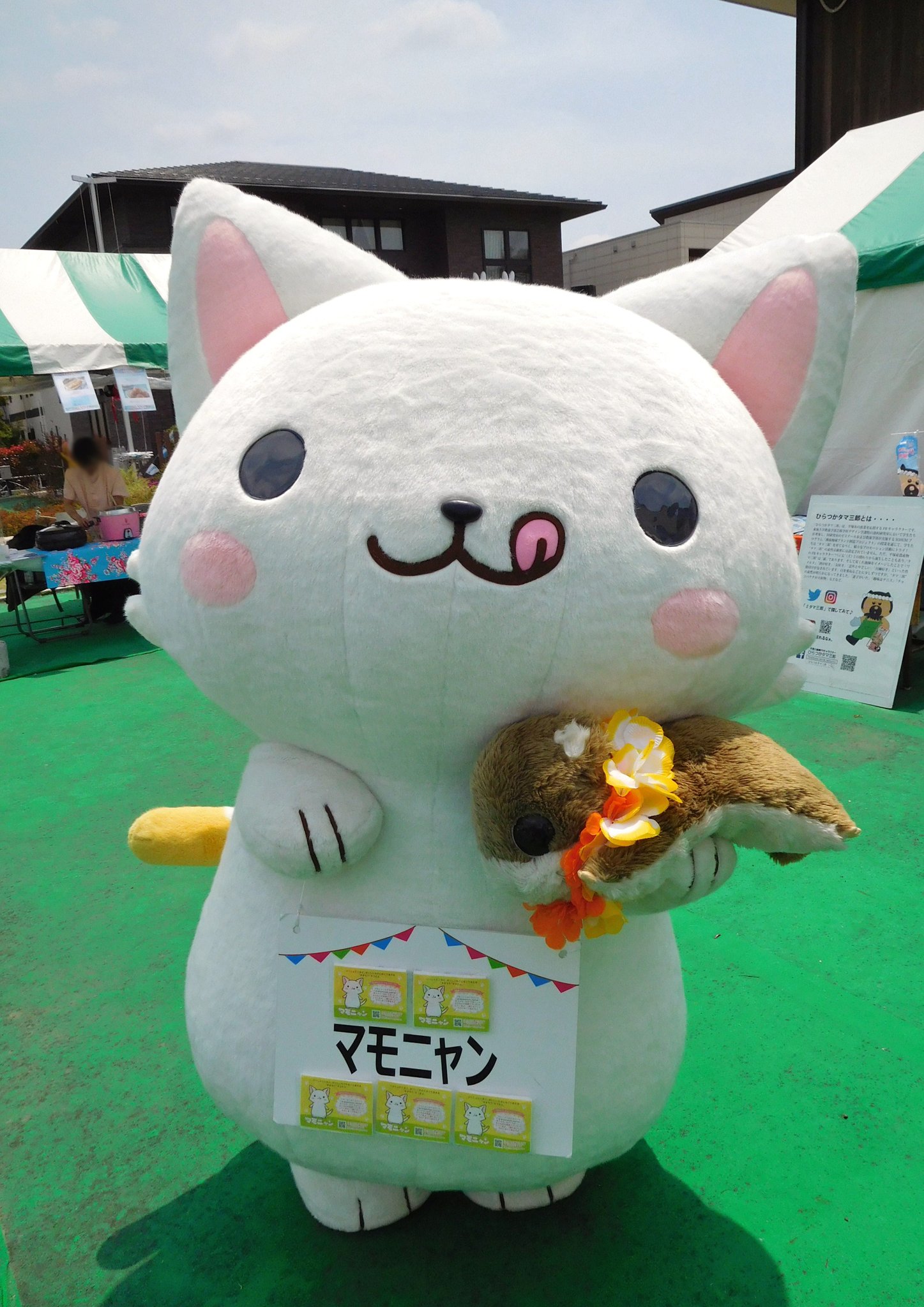メガ ももんが彡 今から約１年前の キャラ活 思い出写真 19 5 12 Tvkハウジングプラザ湘南平塚 ゆるキャラ大集合 初めて会ったキャラさんばかりでした 笑 マモニャン ひらつかタマ三郎 ごはんじゃワンくん てやんでぃ おうちくん