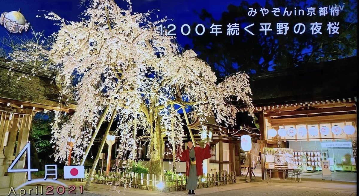世界の果てまでイッテｑ で 平野神社 が話題に トレンドアットtv
