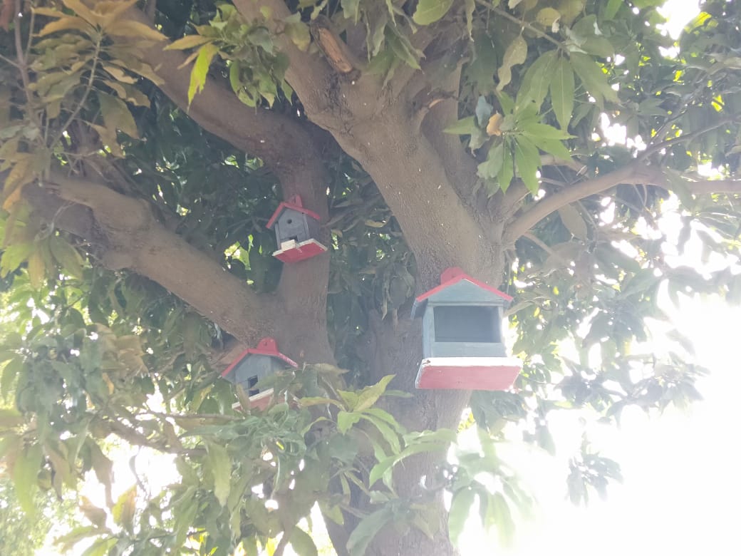 MeetTreat's tweet photo. Simple habitat creation to invite our chirping friends! An effort by students of BSS Cantt, Lahore

#CreatingHabitats 
#CallingBirds
#BSSWorldWide
#BeaconhouseGlobalProjects
#Treat&amp;Tweet https://t.co/JpTa3bgFPJ