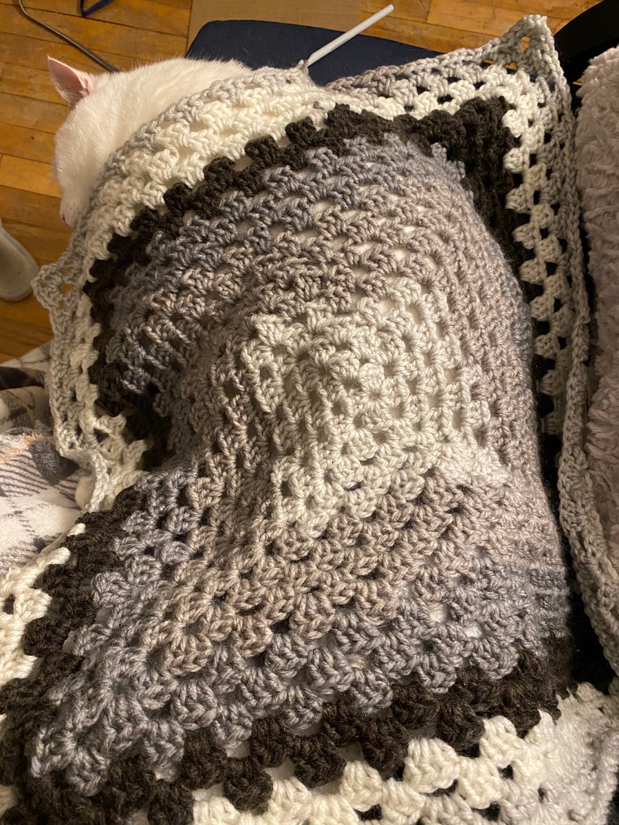 poutineprincess's tweet photo. Decided to #crochet a blanket. I’m hoping to finish it this week. The #cats want something to cover in fur. https://t.co/cbViczmOgF