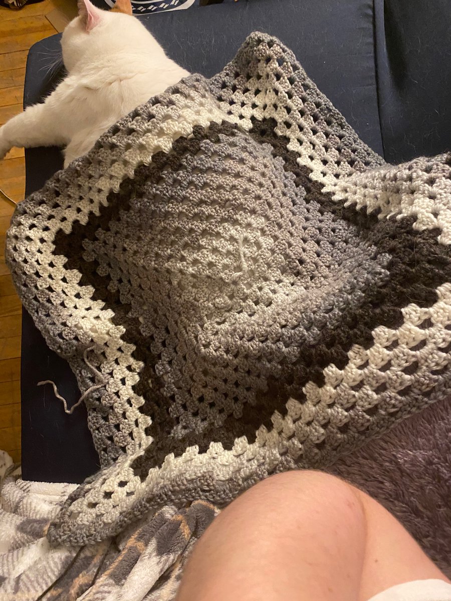 poutineprincess's tweet photo. Decided to #crochet a blanket. I’m hoping to finish it this week. The #cats want something to cover in fur. https://t.co/cbViczmOgF