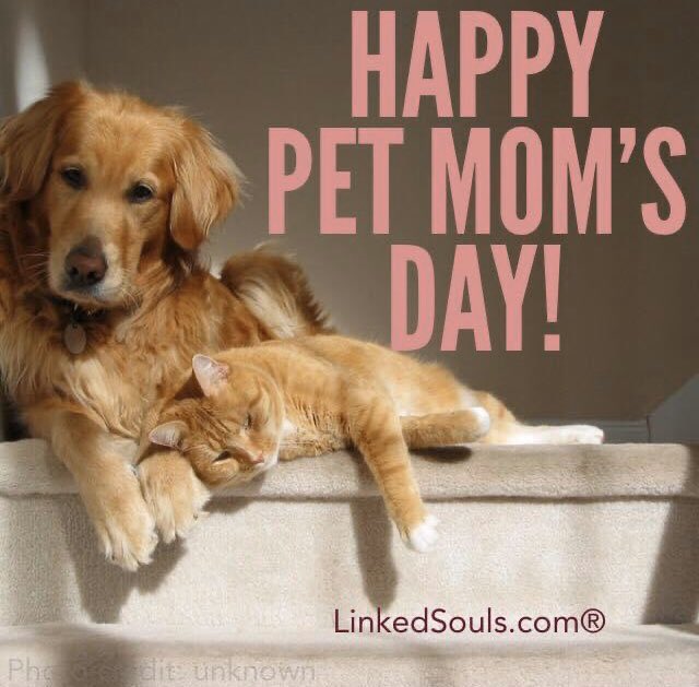 LinkedSouls's tweet image. Happy Mother’s Day to all of you wonderful women out there!