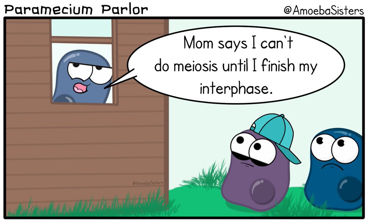 AmoebaSisters's tweet photo. Mother knows best! Happy #MothersDay to all the moms out there!
#scicomm #science #sciart https://t.co/8zdpAaVLcE