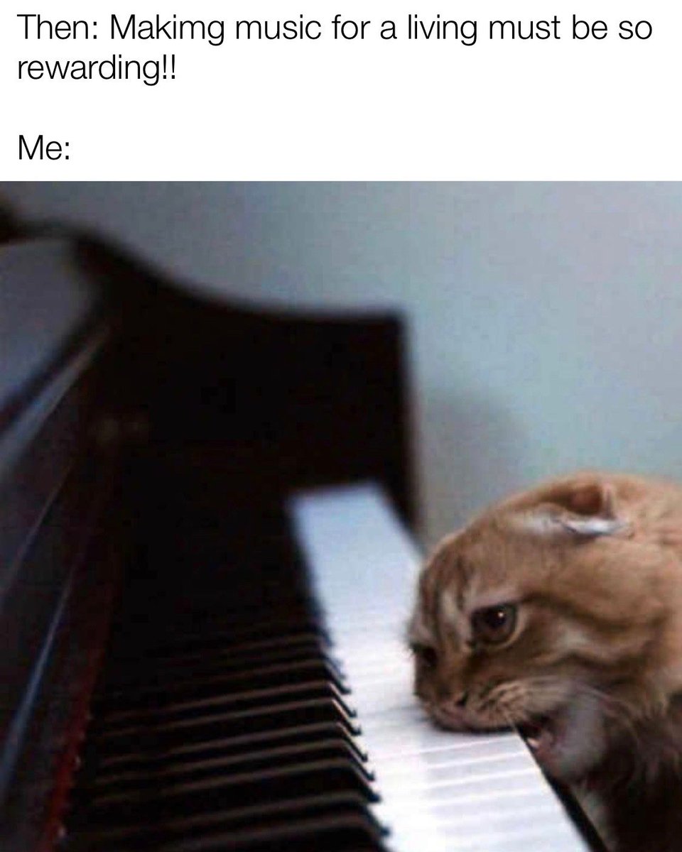 FreqGypse's tweet photo. Who can relate?
#makingmusic #makingmusicmagazine #abletonlive #harmonypark #dubstep #makingdubstep #hybridmusic #newmusic #newband #beatsforsale #buybeats #firebeats #postmalonebeat #samples #howtomakemusic #lovemusic #livemusic #livestreammusic #f4mil7 #dopebeats #banger https://t.co/NN2noW5am7