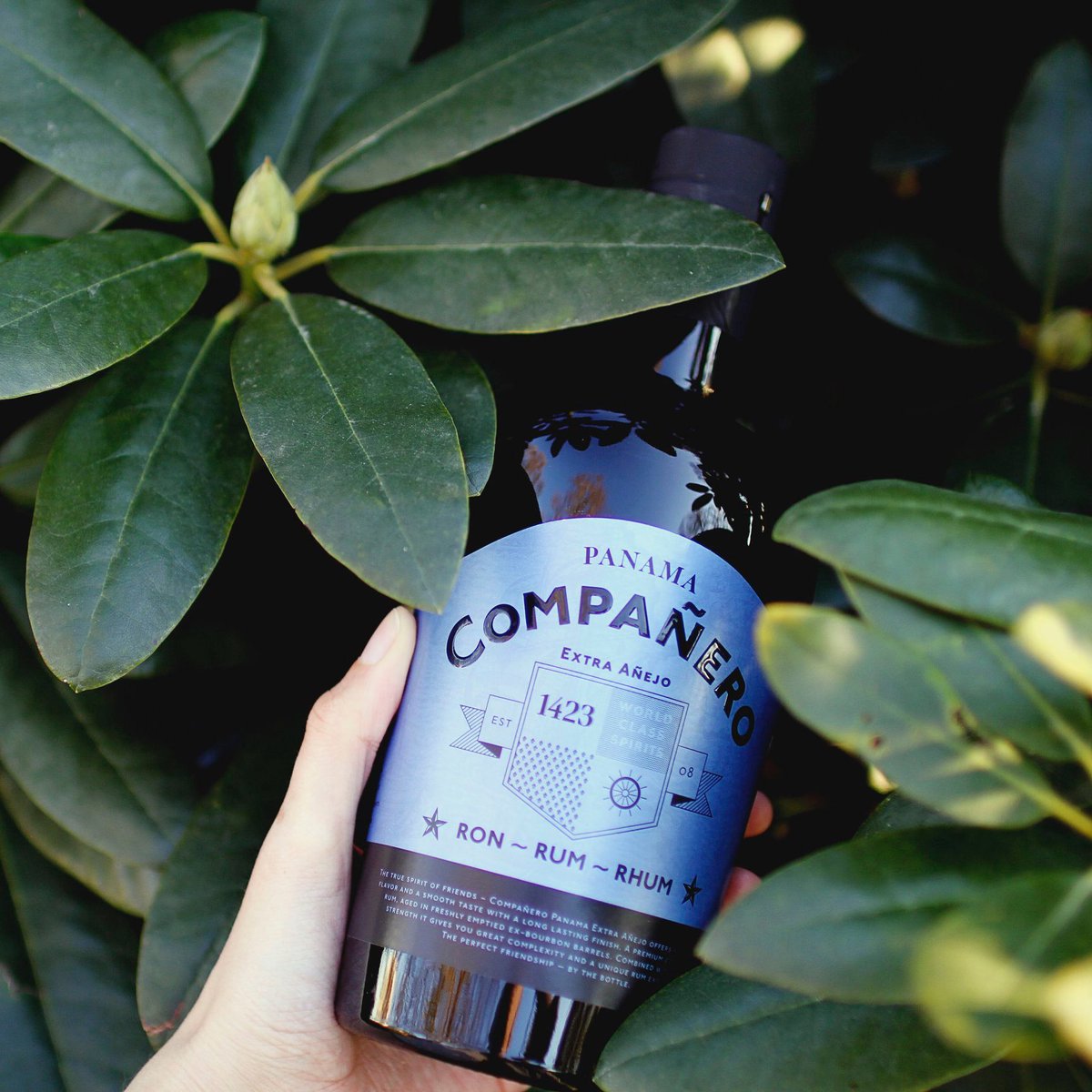 SkylarkSpirits's tweet photo. When you open a bottle of Extra Añejo, the first that'll hit your nose is the rich scent of dark chocolate with a hint of citrus. 🍊🍫

It almost sounds too good to be true, right? 😍🥃

#rumtogether #panama #cacao #chocolate https://t.co/MrtbSzfs6v