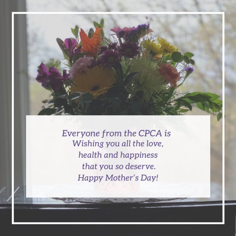 We are very fortunate to know a lot of amazing moms and although we are thankful for them every day throughout the year, today we are sending virtual flowers to celebrate YOU!

💐 Happy Mother’s Day 💐
