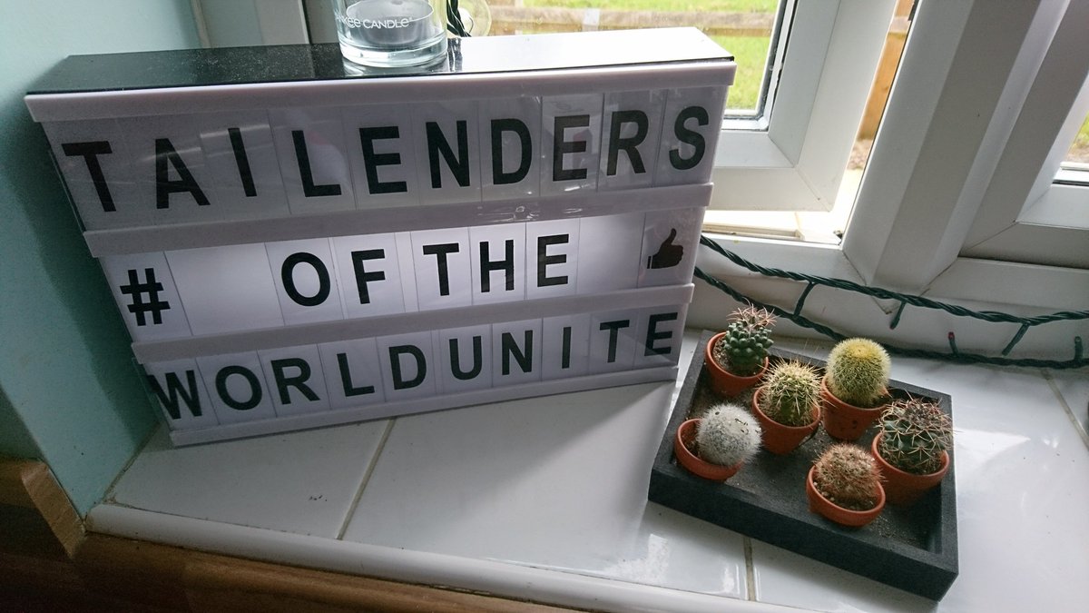smiffy_85's tweet photo. You all keep me going through lockdown. Thank you and #gowell #staywell #bitspikythat #tailendersoftheworlduniteandtakeover @gregjames @felixwhite @jimmy9 @itsmattchin https://t.co/07td1LZG4S
