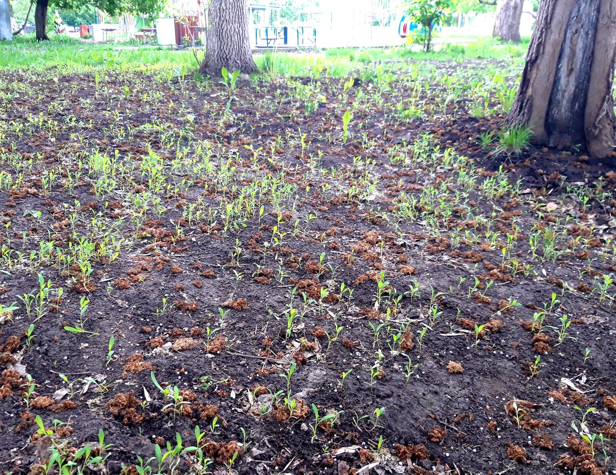 Елена Большакова tweet media