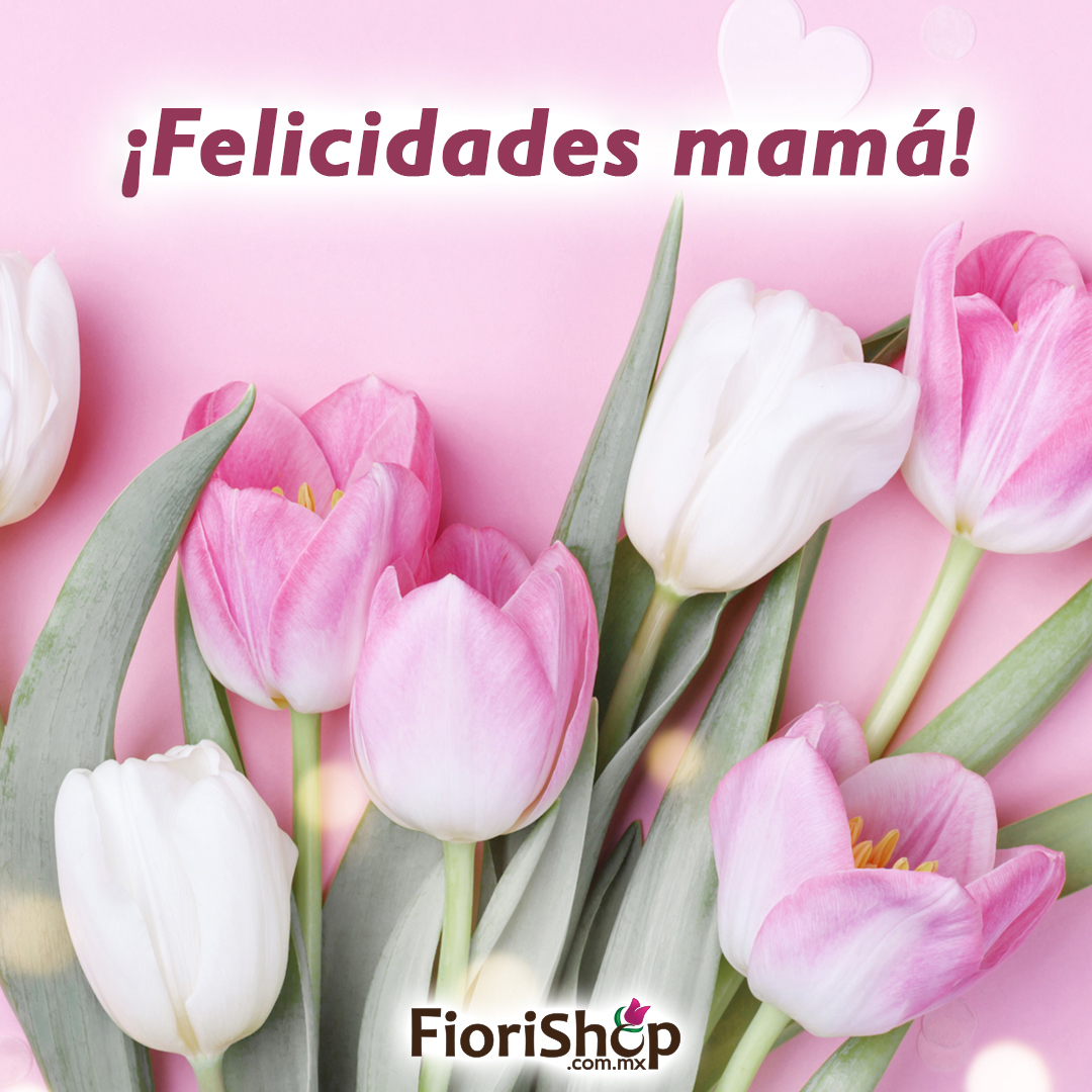 fiorishop's tweet photo. 💐🎉🤗 El amor de mamá es inmenso, por eso queremos felicitar a todas las mamás y desearles un feliz día. 💐🎉🤗 https://t.co/03gKnwOXJD
