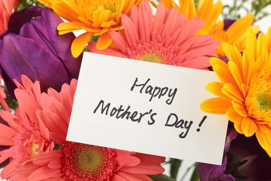 ParadisePulse1's tweet photo. In spite of everything that is taking place in the world, we at Paradise Pulse join with everyone in honouring those special women who are mothers or who have been like mothers to others. We also take time to remember many of these women who are no longer with us. https://t.co/4sgcUCaszx
