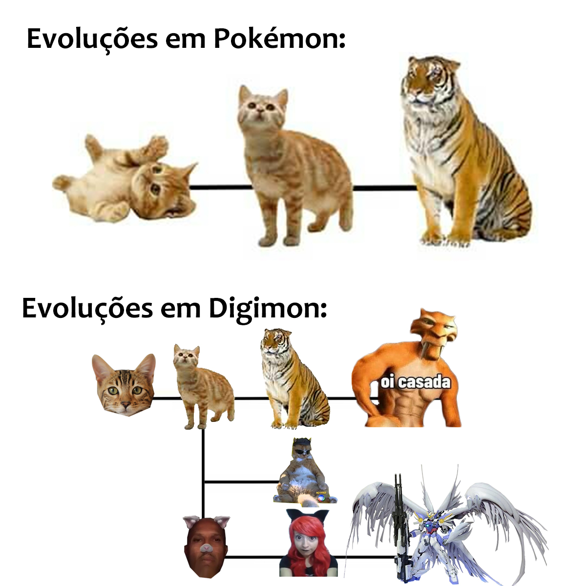 Singela diferença entre Pokémon e Digimon