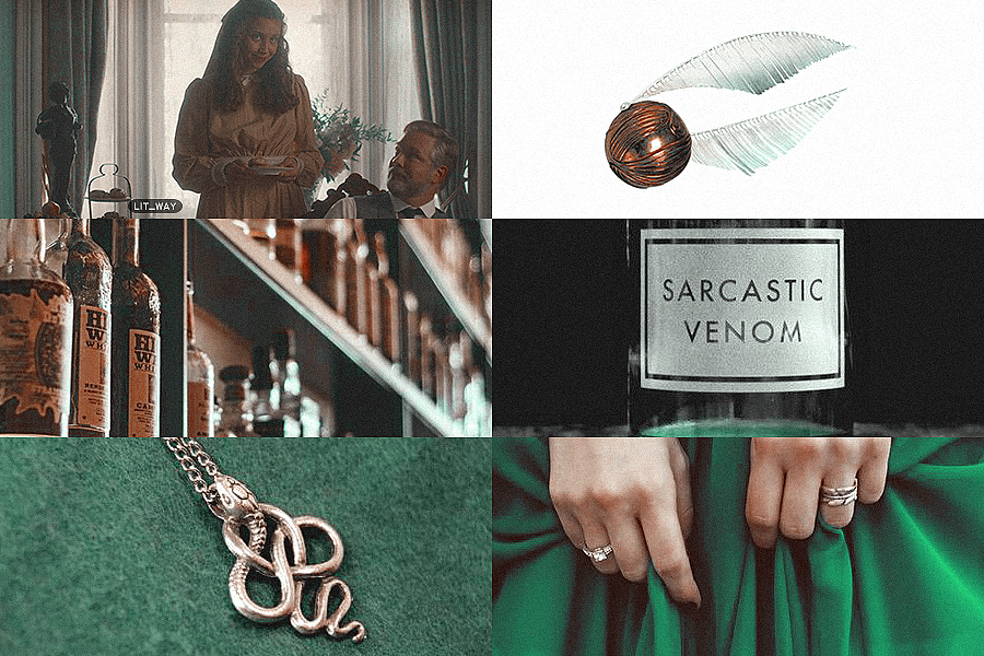 jane andrews × slytherinwe Slytherins are brave, yes, but not stupid. for instance, given the choice, we will always choose to save our own necks #renewannewithane