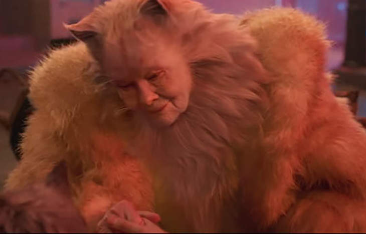 GERTRUDE ROBINSON as OLD DEUTERONOMY: this was the last film i ever saw in theaters and i had to witness dame judi dench stick her leg just directly into the air just for absolutely no reason i still feel deranged