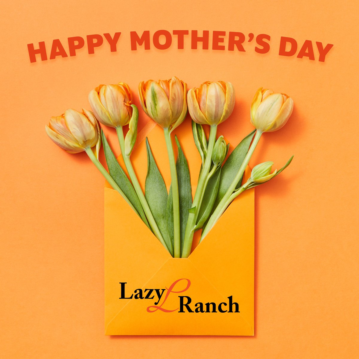 Happy Mother's Day from everyone here at Lazy L Ranch!