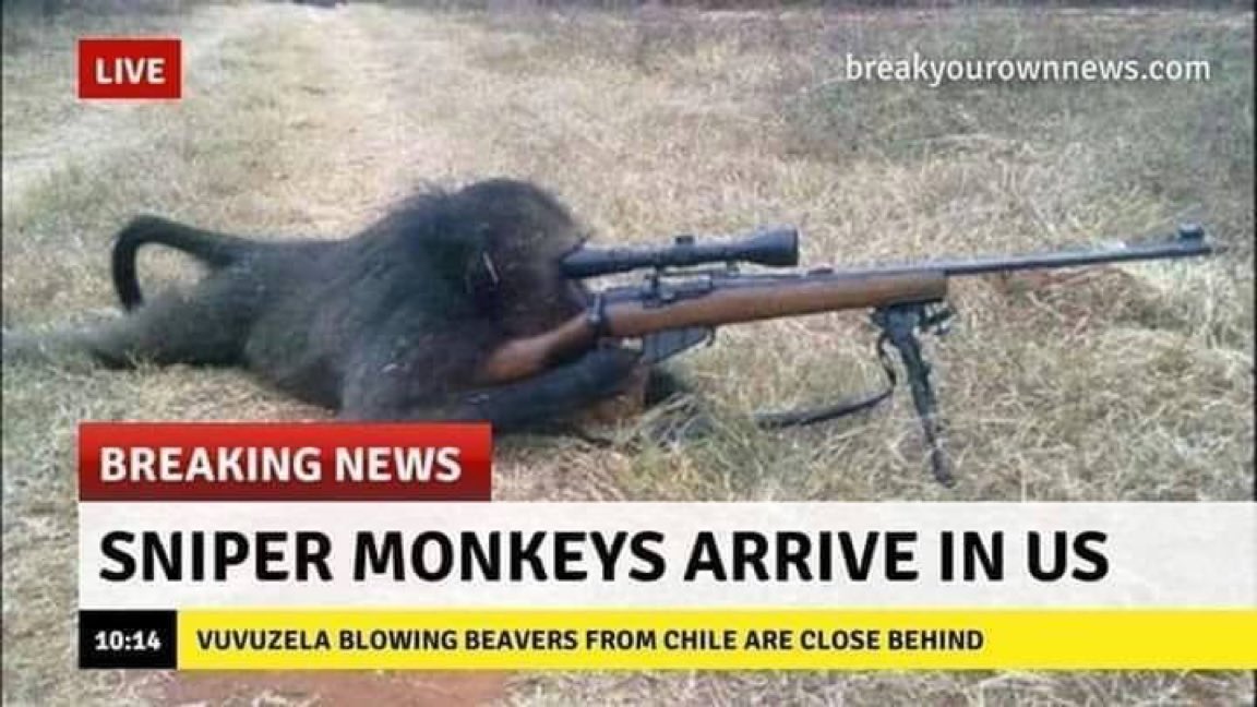 Sniper monkey