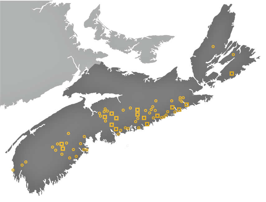 They also must do a prescribed amount of exploration work to keep their claims in good standing.There is a total of 371,978 claims in  #NovaScotia which are defined by basically laying a grid over the province. 37,837 claims are currently staked, the majority of them for  #gold.