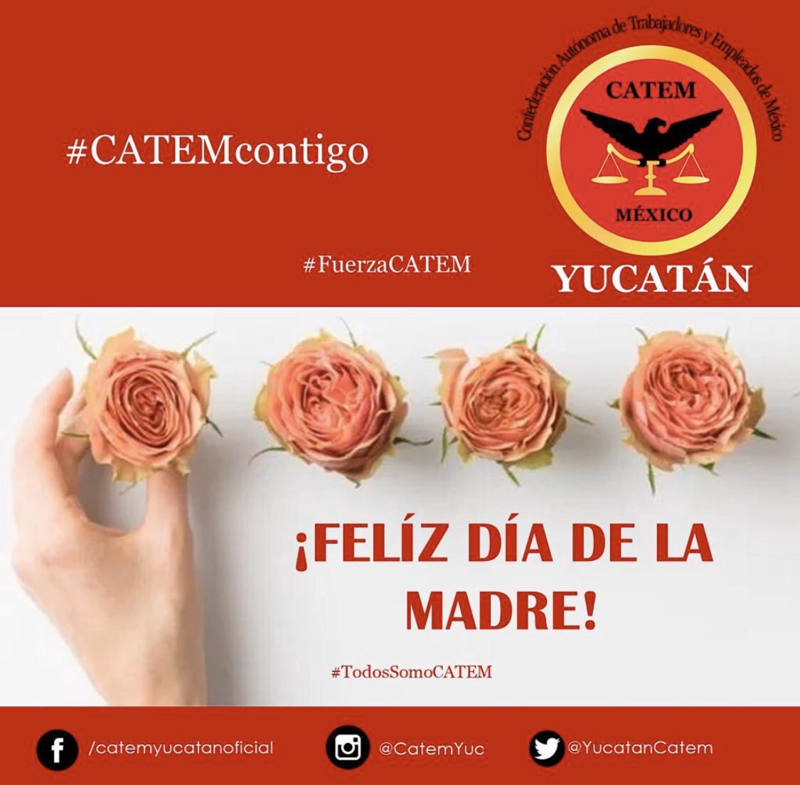 YucatanCatem's tweet photo. Felíz día de la madre.
#CATEMContigo
#FuerzsCATEM
#TodosSomosCATEM https://t.co/nt2JTs6xq1