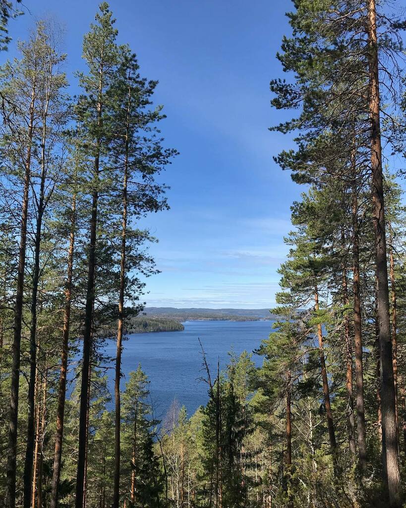 _ankle's tweet photo. Lake Päijänne #vaarunvuori #metsässä #centralfinland #finland #hiking #walking #twitter https://t.co/cJcJHSlK04 https://t.co/Jj422gyqdv