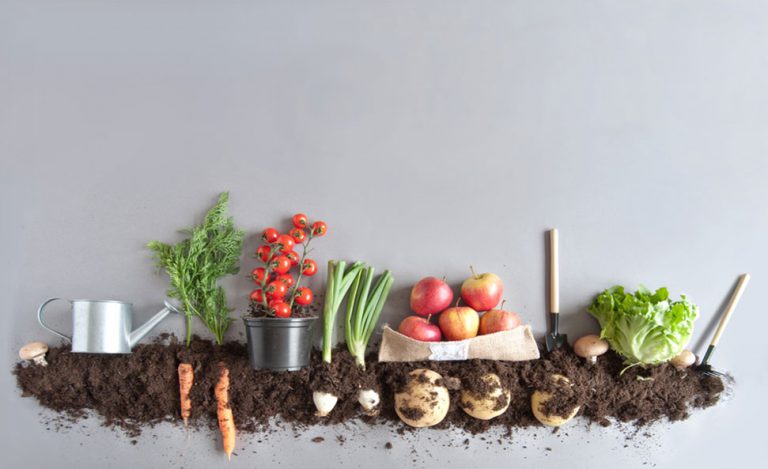 craftscartshop's tweet photo. Compared with conventional agriculture, organic farming uses fewer pesticides, reduces soil erosion, decreases nitrate leaching into groundwater and surface water, and recycles animal wastes back into the farm.
#organic #organicfarming https://t.co/k0dR4MMvHs