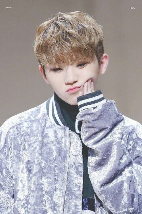 A thread of Jihoon with sweater paws because my mans 5’4 and needs some assistance because his sleeves are always too dang long   #seventeen  #Jihoon  #woozi