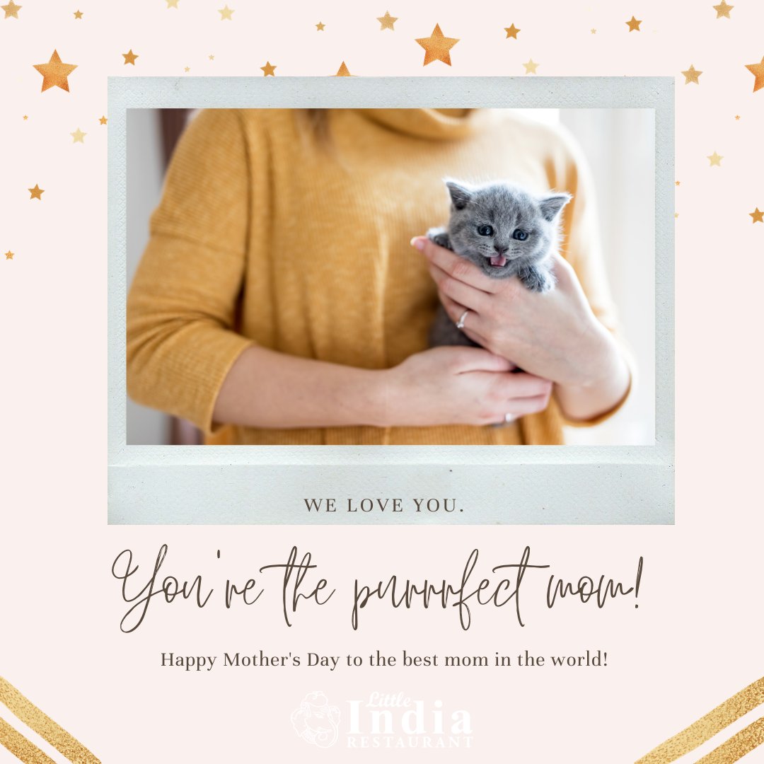 Happy Mother's Day 🐱😻😾