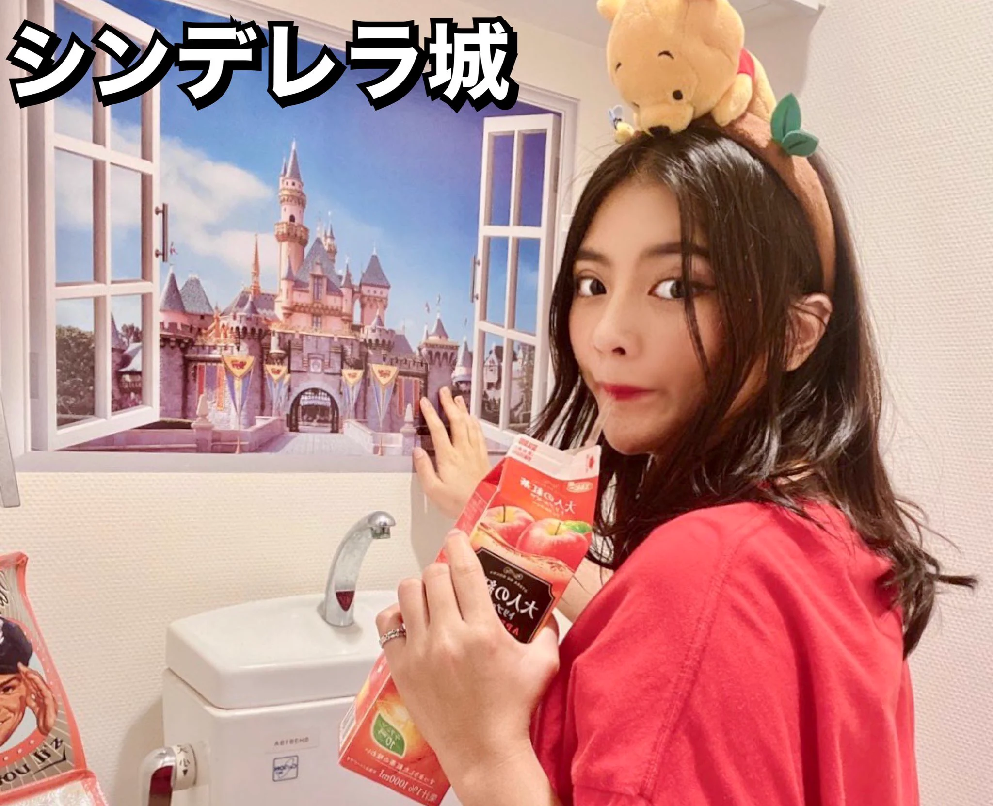 おうちディズニーをやってみた結果？アトラクションによって大変なことになるwww