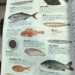 ぎんだら可哀想…!冗談抜きで切り身で泳いでると勘違いする人が出てきそう!