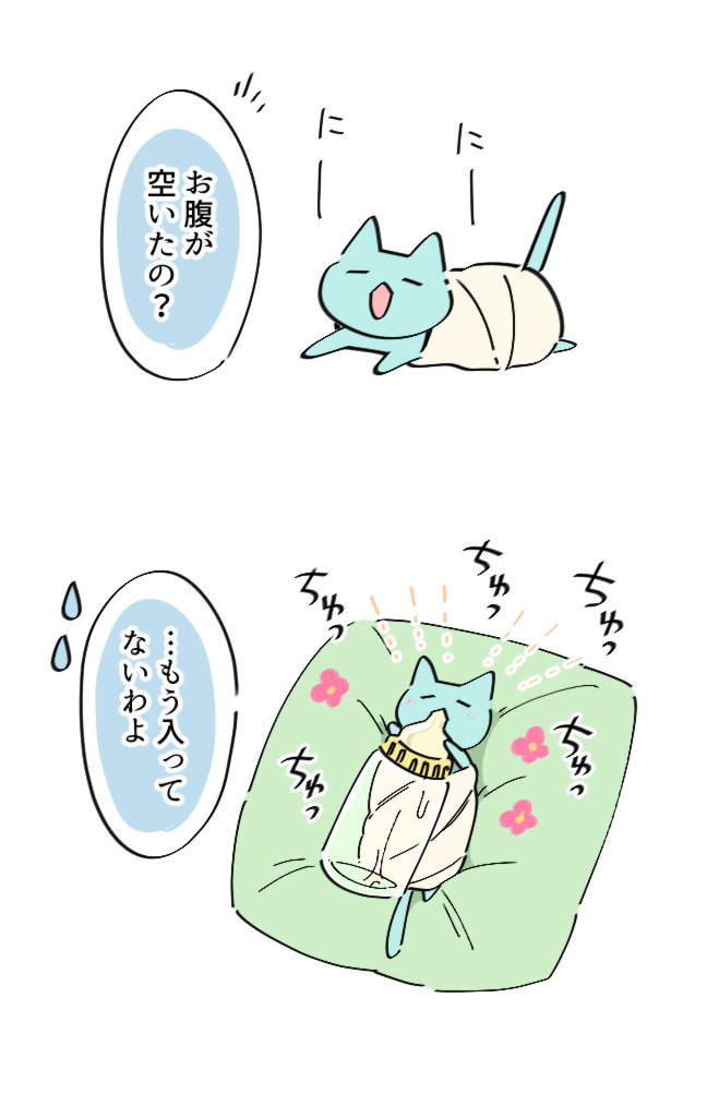 生まれたてのひなねこ🐈 