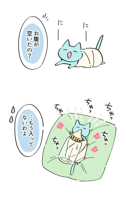 生まれたてのひなねこ🐈 