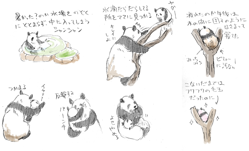 母の日らしいイラストがパンダしかおもいうかばねえよ 