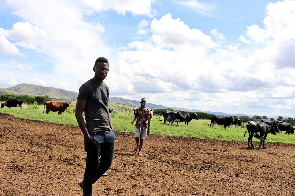 ...nakola nga balaba abalala nga baseka kati balaba ebirungi tebinsanila,nakozesa maanyi gange na bwongo bwange naye bo n'ebajiyita enjayi....kabaseke nga nze bwenkola....🎶 #QuarantineSpecial #BobiWineOnlineShow