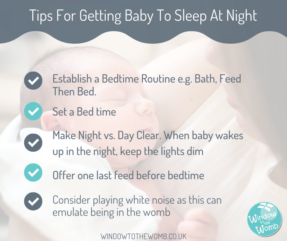 Window to the Womb tweet media