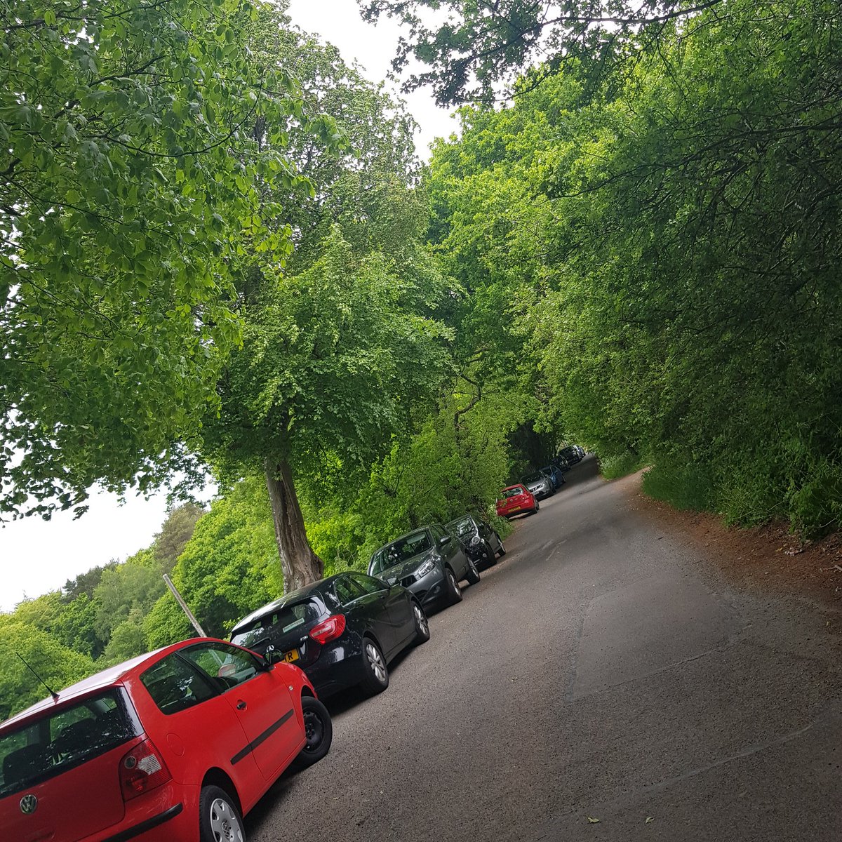 @SWPCardiff look at all these cars  who have driven to wenallt, Rhiwbina. Surely this is not allowed?