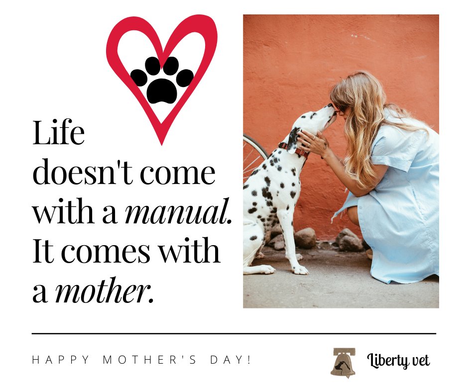 How are you staying safe and celebrating today?
#mothersday2020