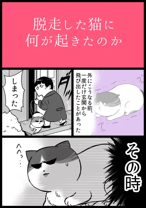 【#食い意地のはった猫 9】前回、病院に行った時初めて外出たみたいなこと描いた気がするけど、その前に飛び出したことがある。終わった…と思った。これ以降、やばい取引してる人みたいにドアを開けている。#猫漫画 #猫がいる暮らし #JR漫画 