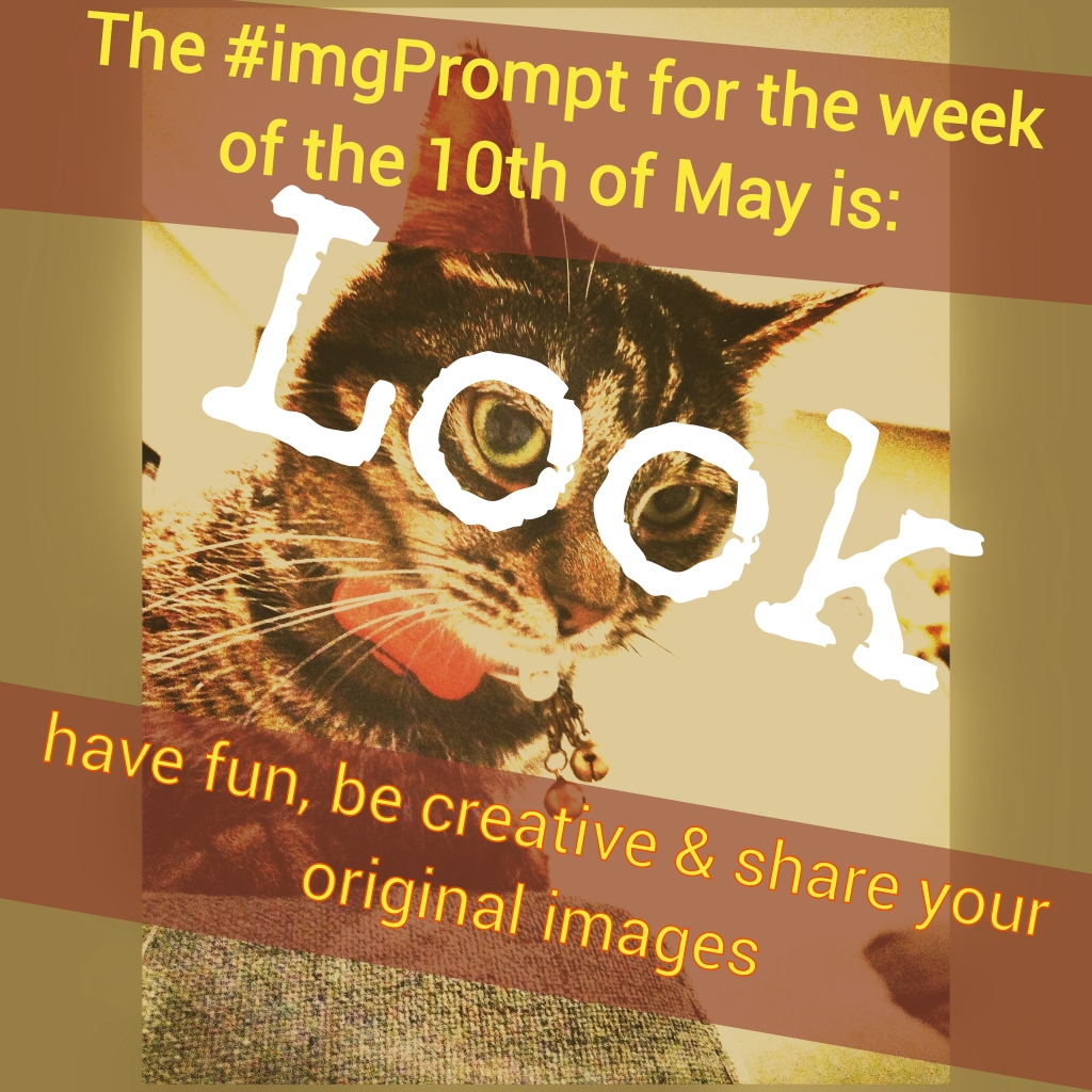 ImgPrompt's tweet photo. The #ImgPrompt for the week of the 10th May is "look". Have a look, get creative, and share your original images inspired by the prompt! https://t.co/PVngivEZO3