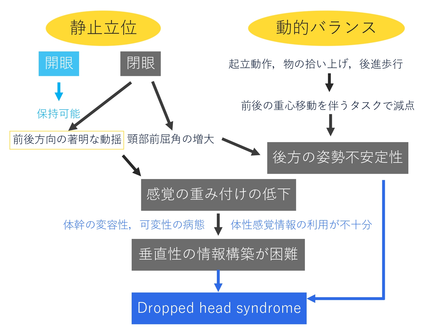 太田 経介 育休中 垂直性の知覚に必要な条件 T Co Oij4ytoy9p Twitter