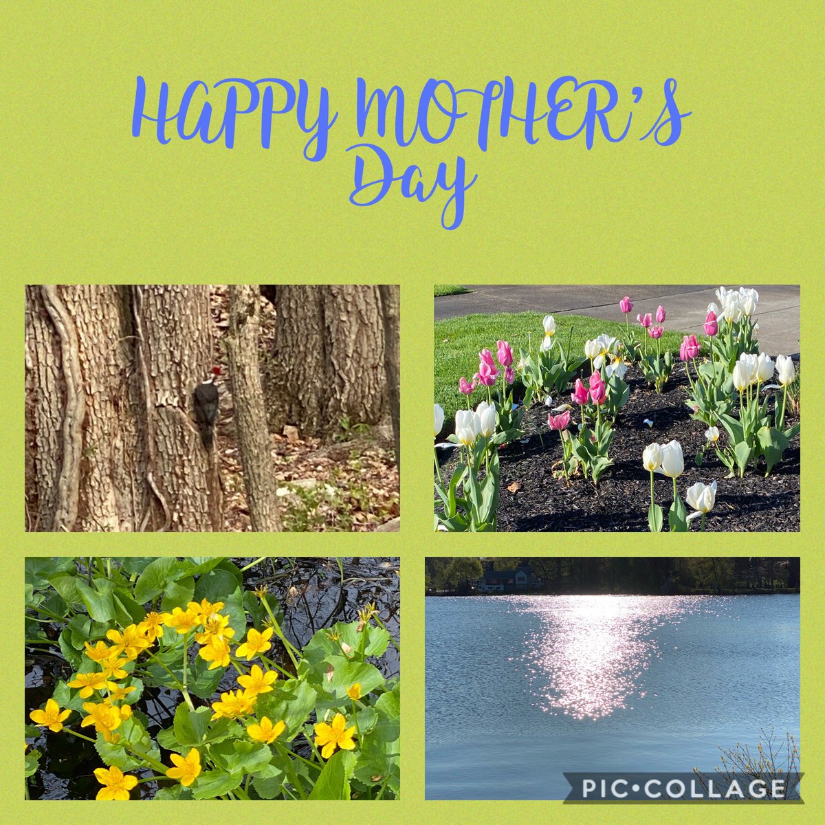 Best wishes to all our”mothers”!