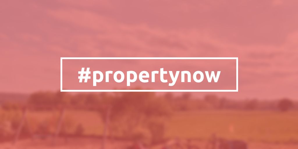 propertynowio's tweet photo. Many real estate portals are too overloaded, we want to bring back a certain degree of simplicity! #realestate #propertynow #property #realtor https://t.co/gFijBTqJSU