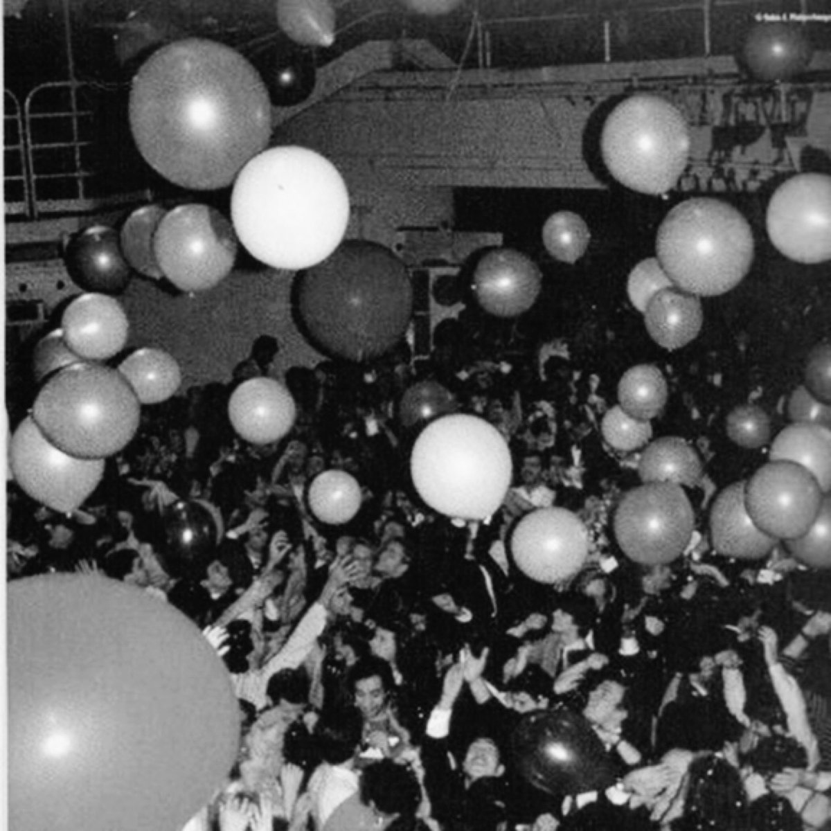 * 000000 📷 ‘
  
        〰️Faronia (rose)  in 97‘𝓼｡      
          ♡´แลกฟอล 𓐄 ตามทัก 🕳･  

      : ยพท ลฟตท 🏴 ｡