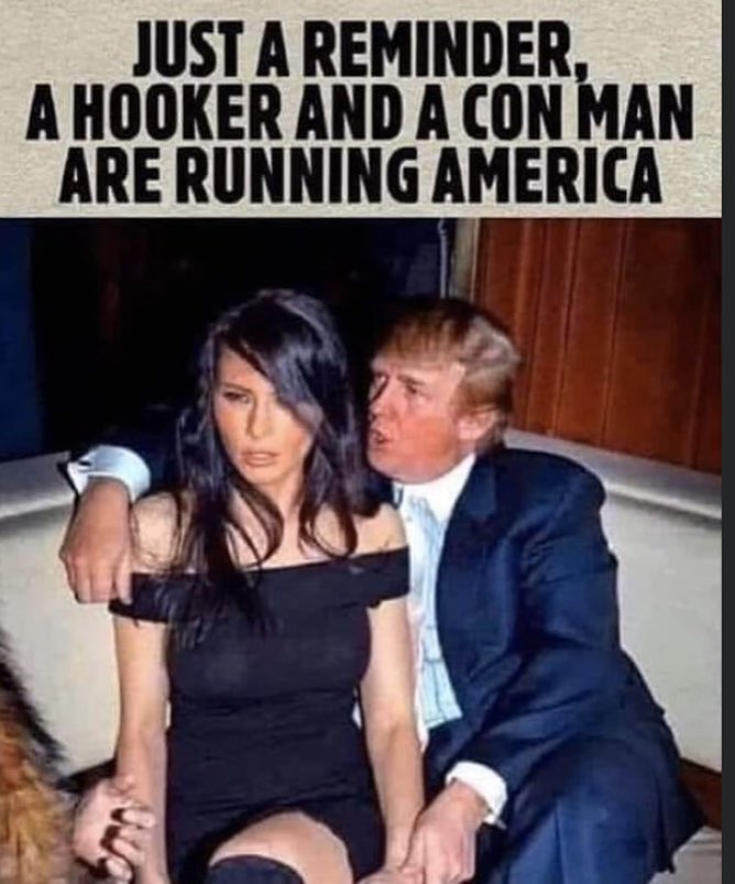 irishson19161's tweet image. 