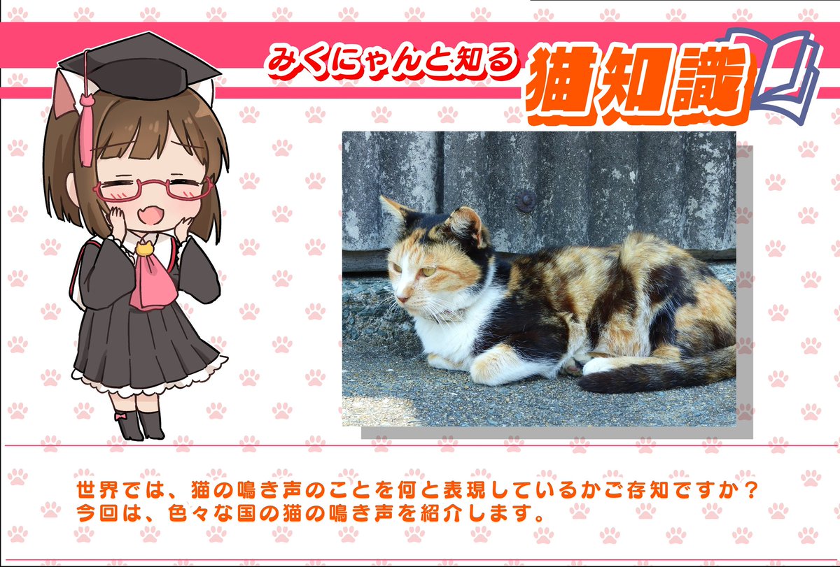 よせぐと tweet media