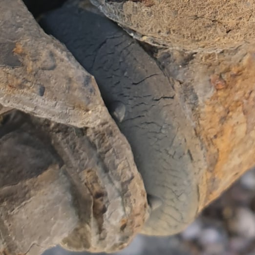 Angels Service And Spares tweet media