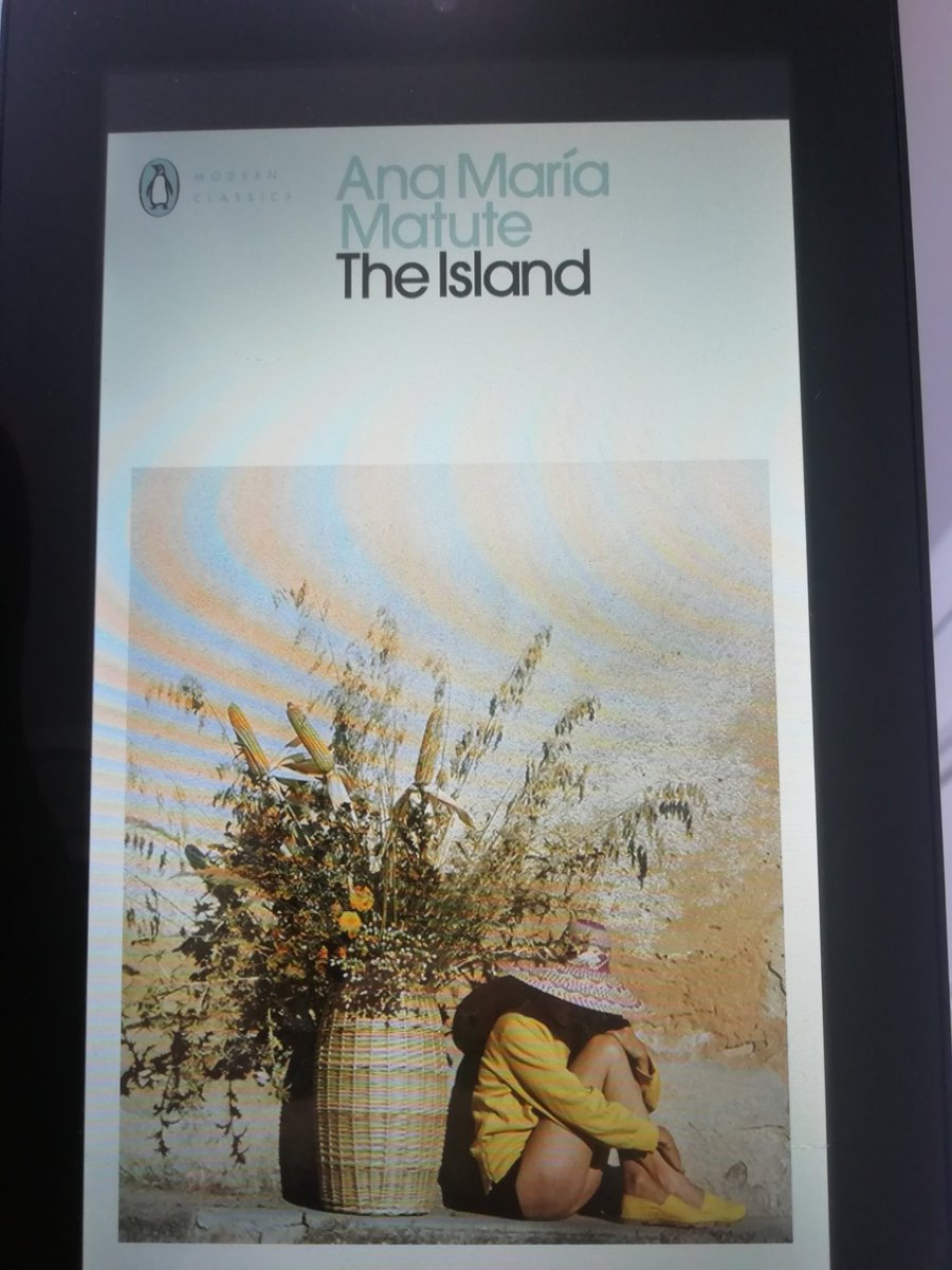 Book 40 was the Island by Ana Maria Mature, which I read on recommendation. It's a short Spanish coming of age type of novel, but some bits have dated badly and, depsite its short length, it didn't engage me and felt like a bit of a chore at points. Not the best book I've read.