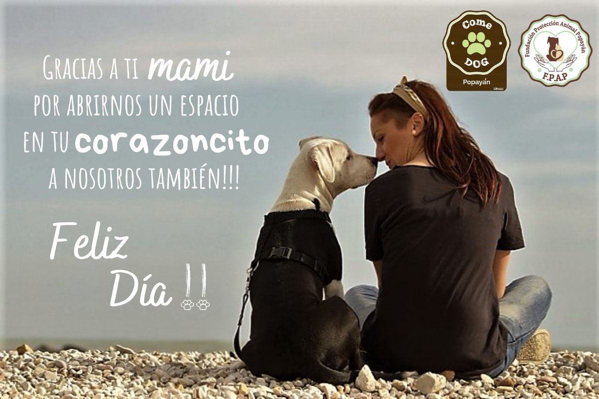 A ti que los tratas y los amas 🐶🐱🐴como lo que son, un hijo más... 🥰 

Te deseamos un feliz y hermoso día cargado y colapsado de amor 💖 hoy y siempre!!!🎊🎉