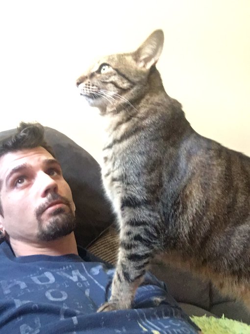 Grab your coffee and come join me on https://t.co/mO2niys95P if your eso and twitch accts are linked