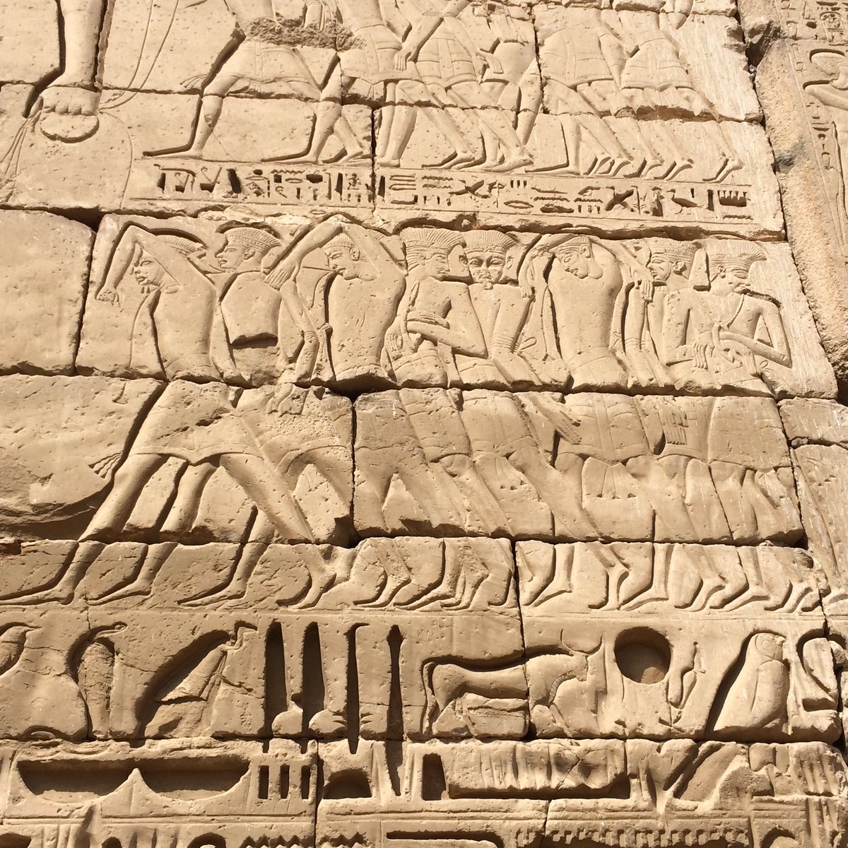 The reign of Ramesses III was beset by foreign invasions by both land and sea, reflected in the decoration of his temple of Medinet Habu in  #Egypt  #MuseumsUnlocked THREAD 